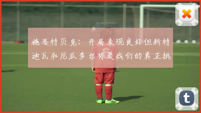 施洛特贝克：开局表现良好但科特迪瓦和厄瓜多尔将是我们的真正挑战