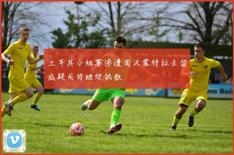 土耳其小组赛惨遭淘汰蒙特拉去留成疑或将继续执教
