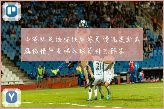 海港队足协杯缺席球员情况更新武磊伤情严重梯队球员补充阵容