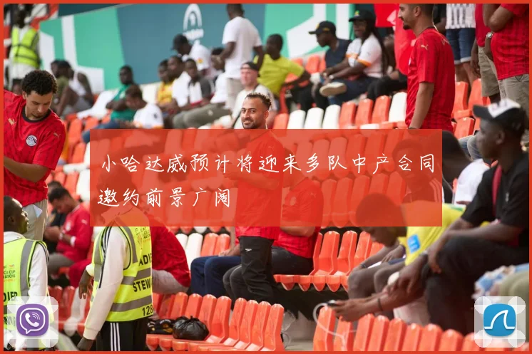小哈达威预计将迎来多队中产合同邀约前景广阔